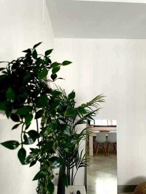 Appartement Tranquilo En Barrio Bohemio *