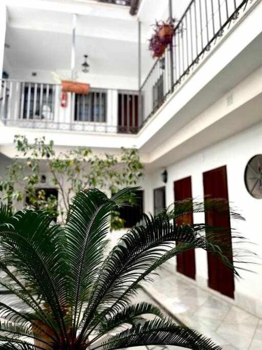 Tranquilo En Barrio Bohemio Appartement *