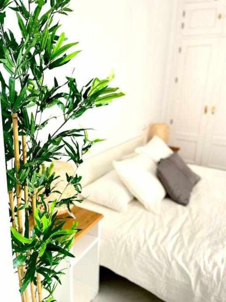Appartement Tranquilo En Barrio Bohemio Séville